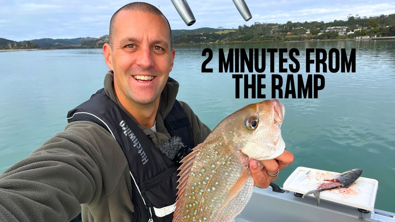 Harbour BAIT & BERLEY fishing | Shallow stray lining 2m of water | Snapper fishing NZ