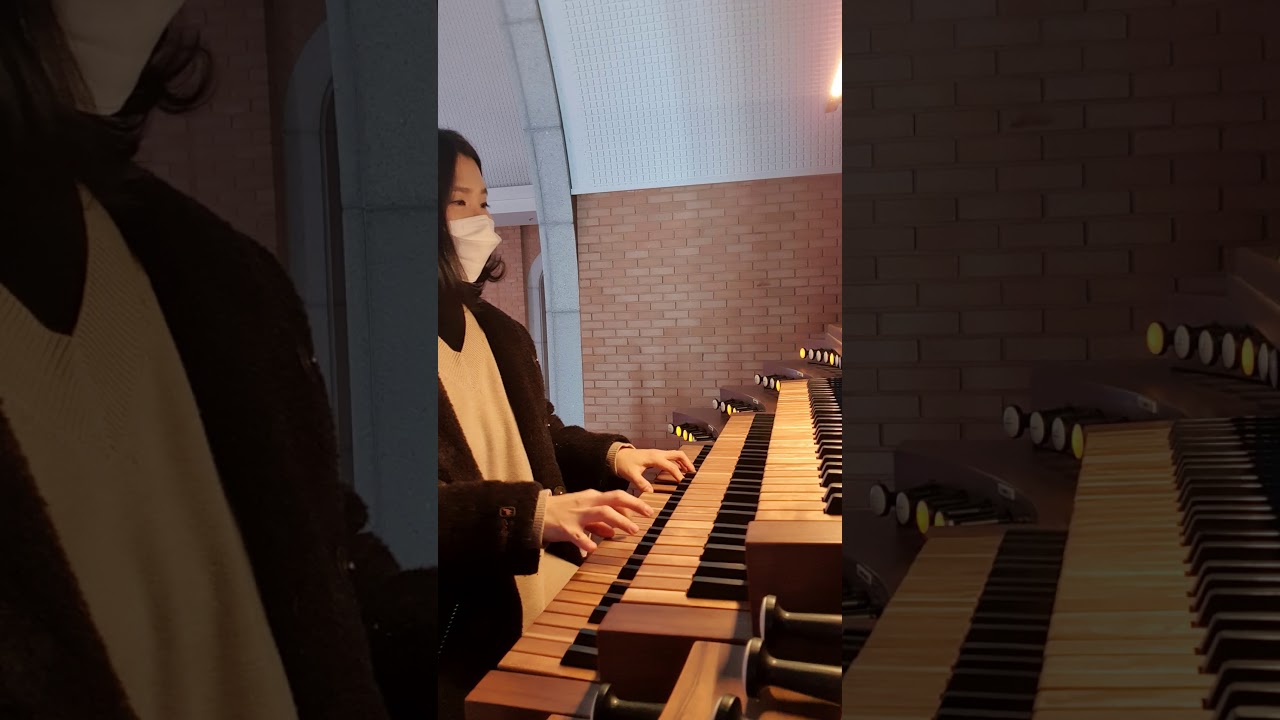 Merry Christmas mr.Lawrence - Ryuichi Sakamoto (Hauptwerk virtual pipe organ)