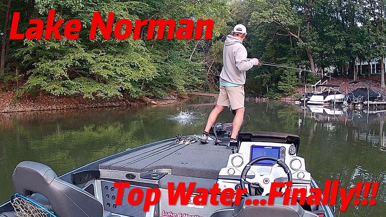 Lake Norman...Top Water, Finally!!!