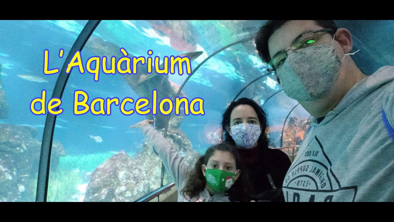 L’Aquàrium de Barcelona 🐠🐡🐟🐙🦑🦞🐧