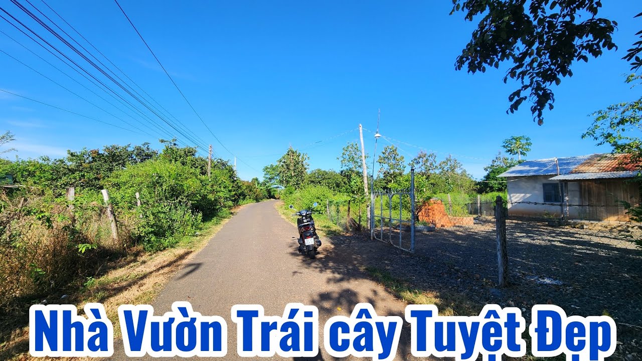 Số 29.Bán Nhà Vườn 200 gốc Mít Ruột Đỏ. Sầu riêng.VÚ sữa. TẶNG Chuồng trại gần 5000m² giá 1 tỉ 3 