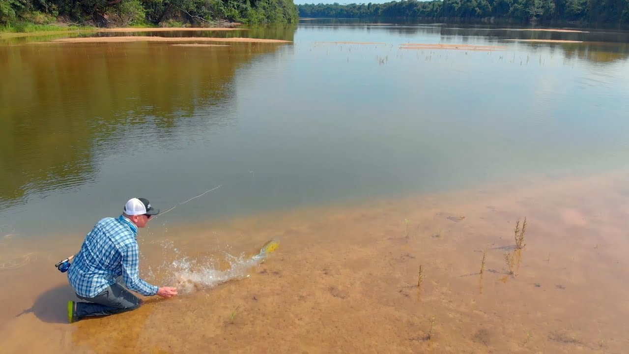Go Fun or Go Home - Fly Fishing Film na Amazônia