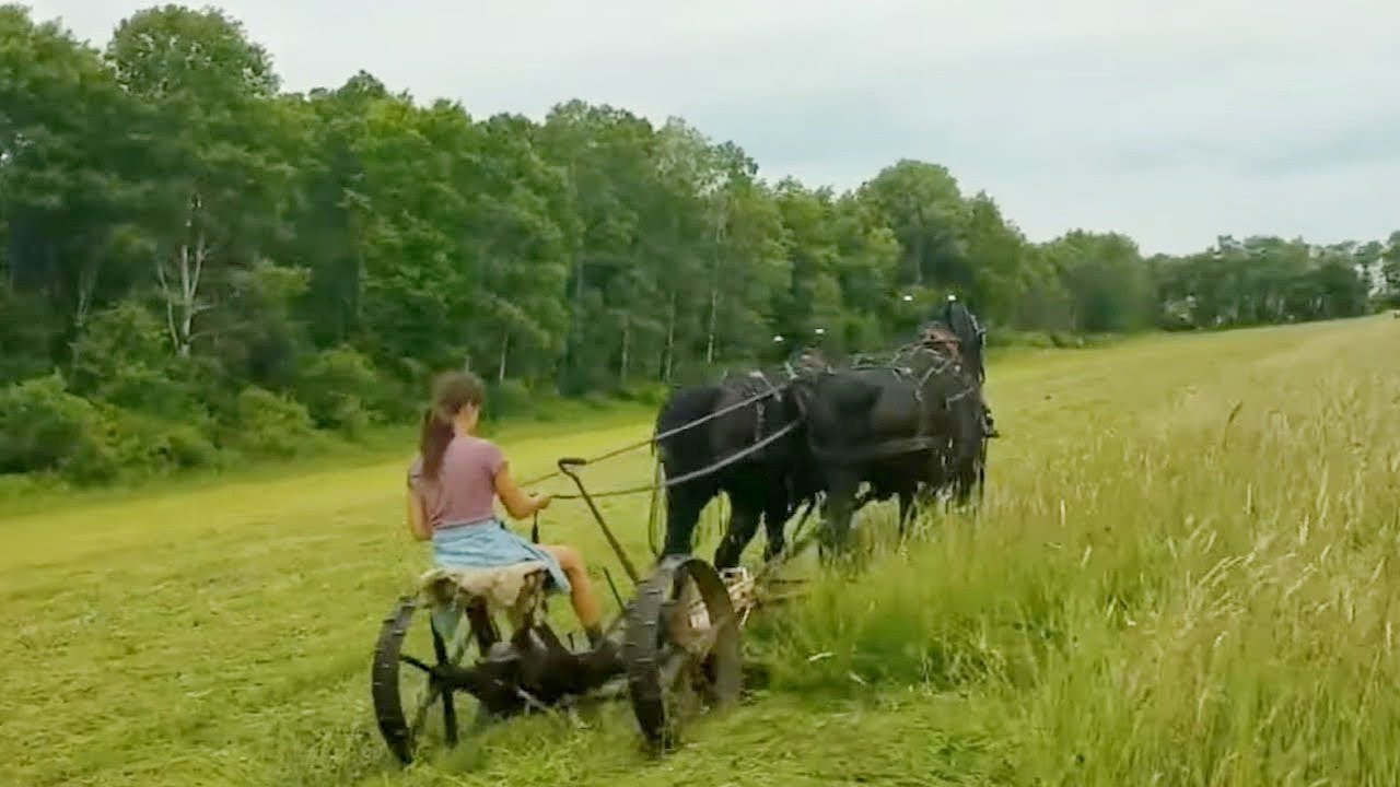 How and with what they mow grass in different countries of the world