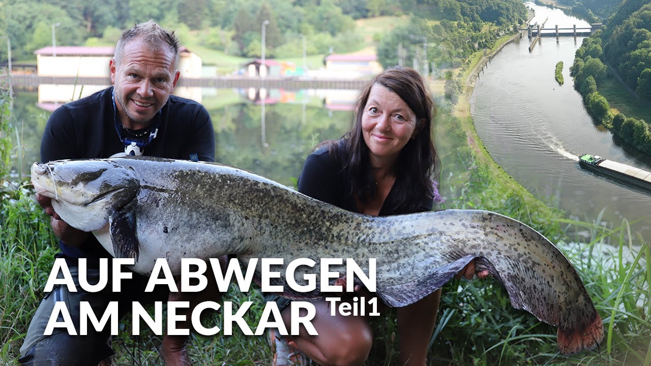 Auf Abwegen am Neckar - Teil 1 | Waller im Fluss 🎣 | Neckar-Urgestein Patrik Pammer | P.R. Baits