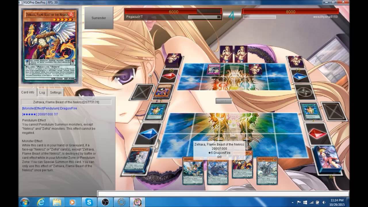 ZEFRA Deck Build + Duel - Zefra vs Ninjitsu
