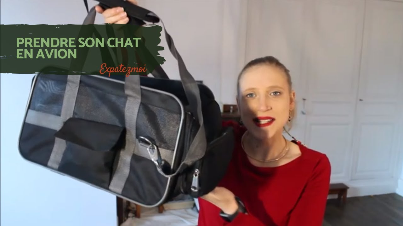 Emmener son chat ou chien en PVT.  Partie 2 : Prendre l' avion avec son animal | Expatez-moi