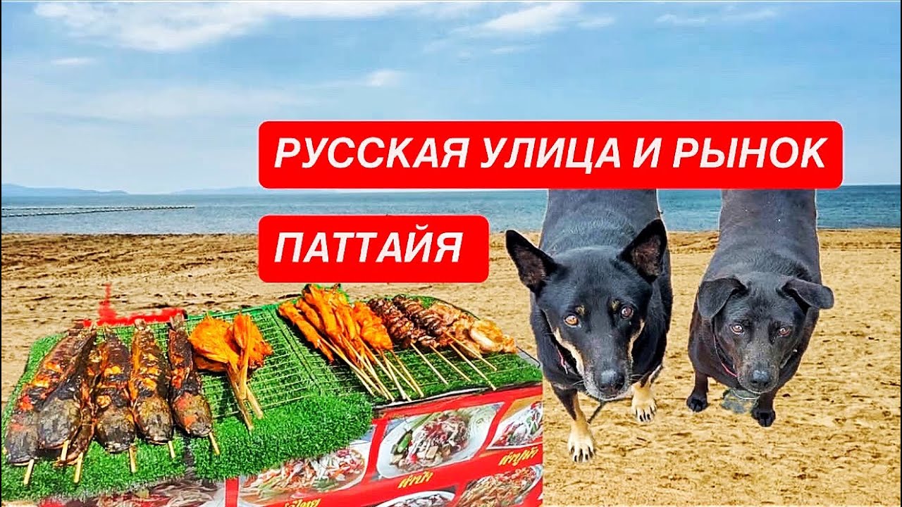 Русская улица и ночной рынок в Паттайе. Кормлю бездомных собак. Таиланд 2026.