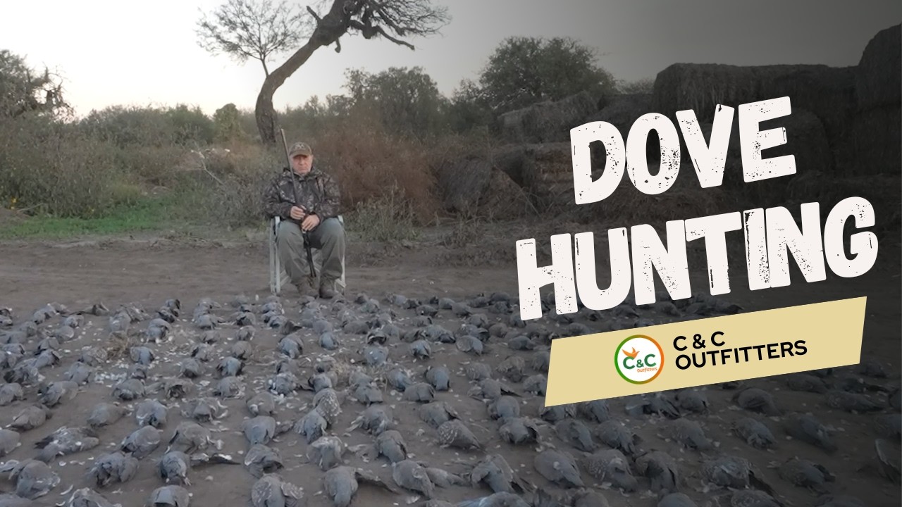 4,000+ SHOTS! - A FULL DAY of DOVE HUNTING in ARGENTINA | C&C Outfitters