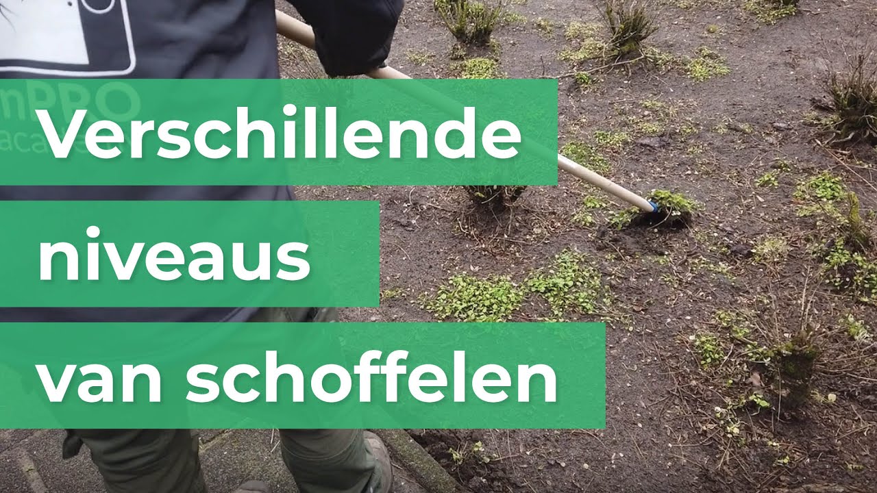 Hovenier Training | Verschillende niveaus van schoffelen