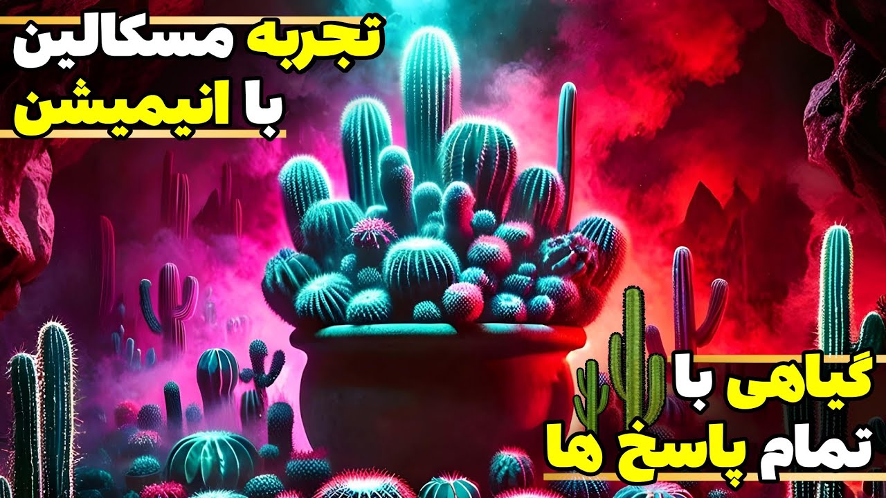 انیمیشن تجربه مسکالین 🌵 بعد سی سال زندگی ، تازه زنده شدم ☯️❌