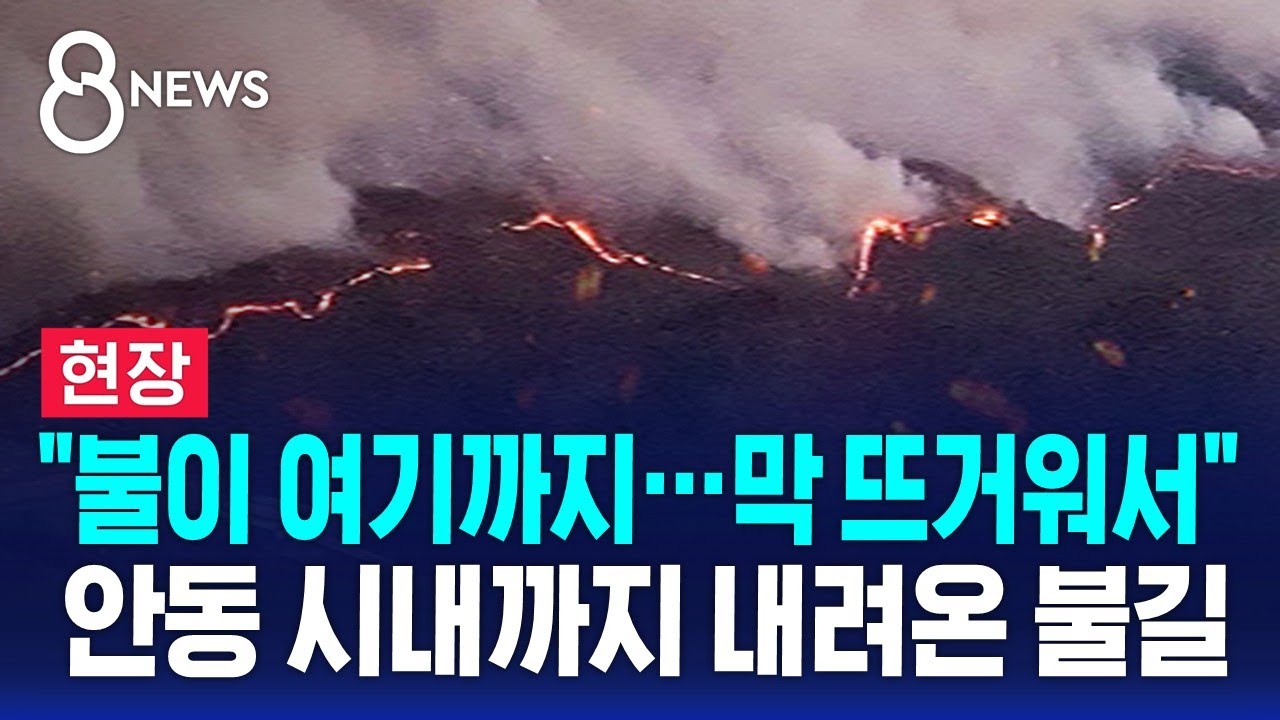 [현장] 