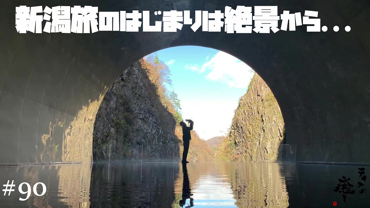 【犬旅行】蒼紫神社・忠犬しろ神社＆清津峡...初の新潟旅がはじまります【ティナ】