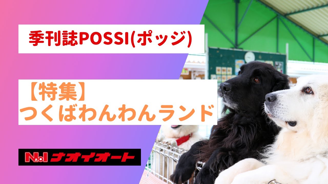 【ナオイオート】季刊情報誌Possi（ポッジ） _Vol.32【特集】わんわんランド
