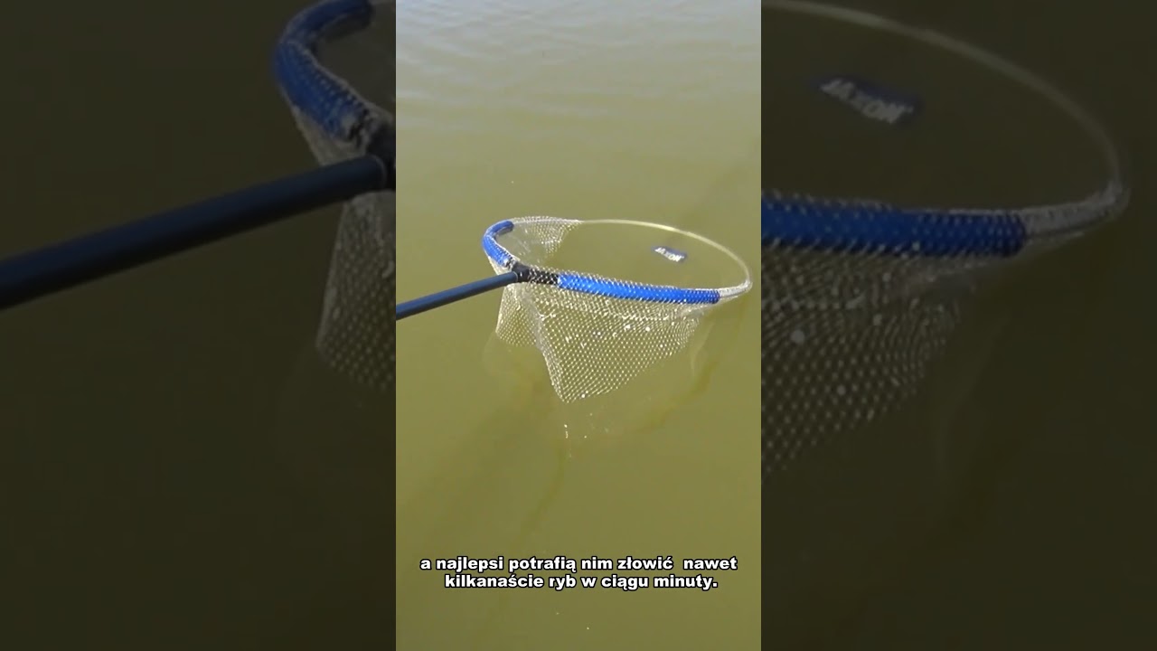 Bat absolutne podstawy