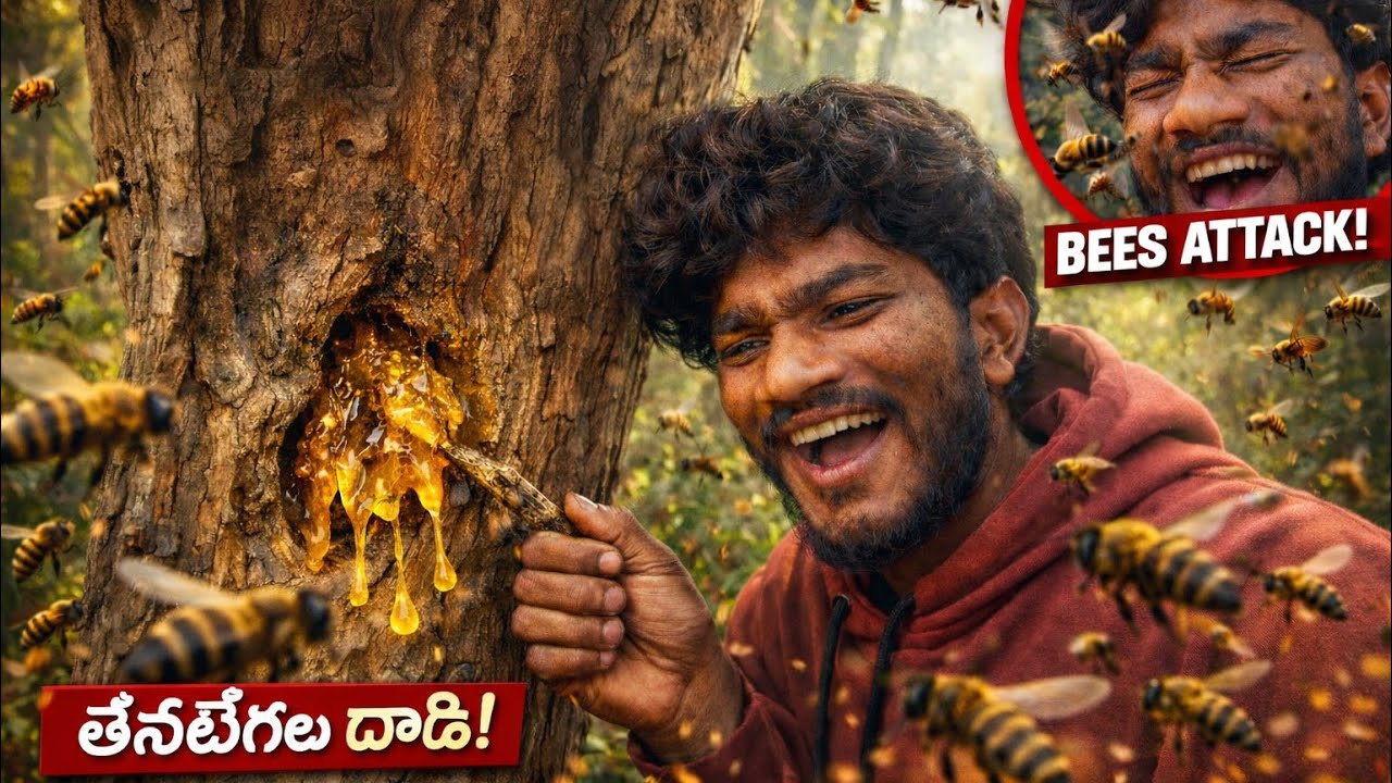 తొర్రలో ఉన్న తేనే తీశాను. ఎలా తీశానో చూడండి….
