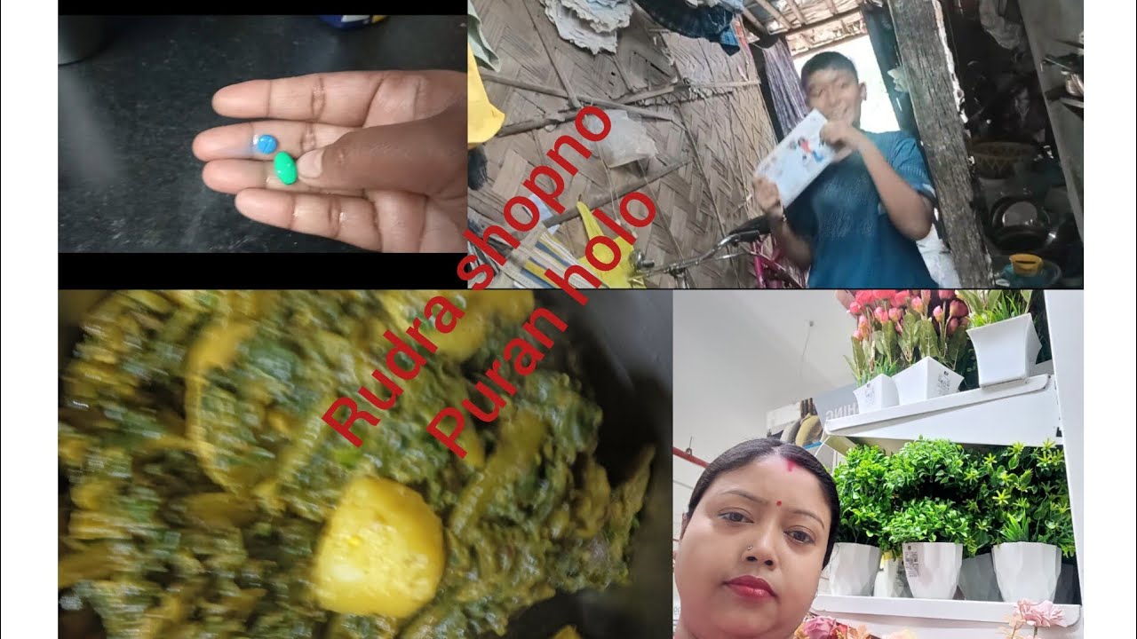 রুদ্র স্বপ্ন পূরণ হলো||একা সংসারে এটাই জ্বালা যে ওষুধ খেয়েও কাজ করতে হবে সম্পূর্ণ।