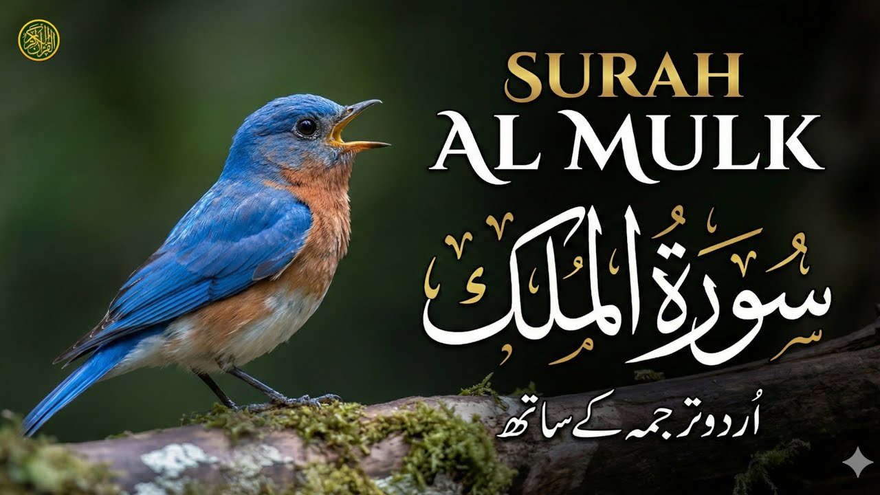 Surah Al Mulk (سورۃ الملک) - Full Recitation with Urdu Translation by Qari Mansoor Ghaznavi | EPs 51