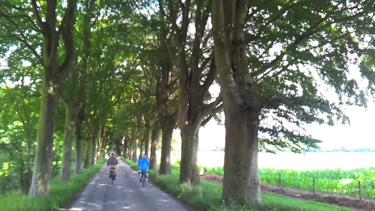 2011 Fietsen in Friesland!