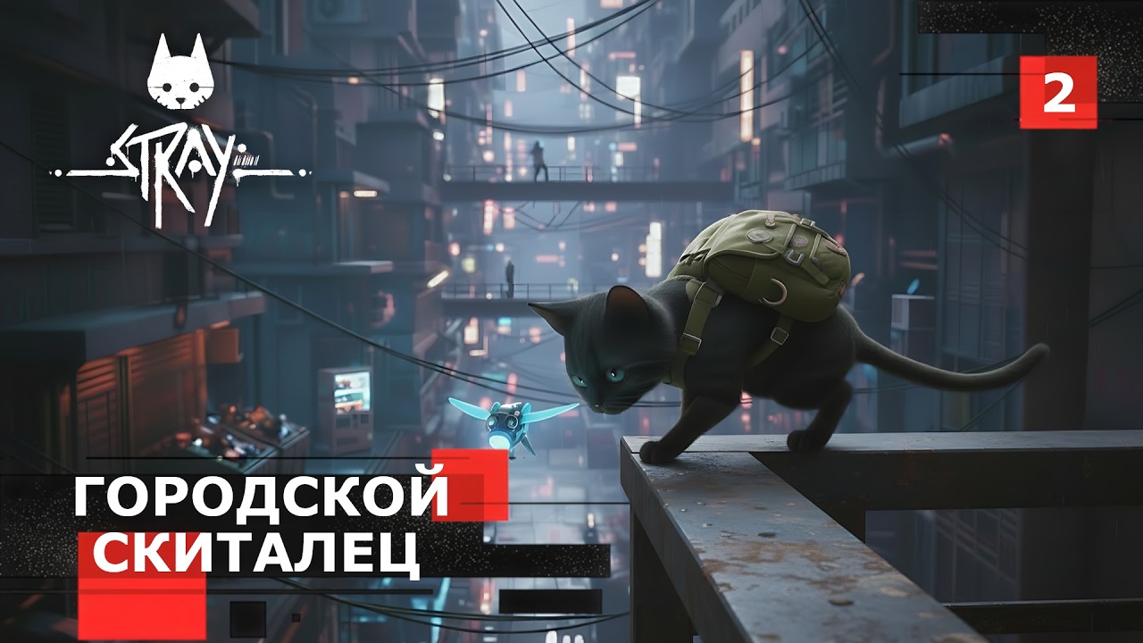 Стрим Stray № 2 - Городской Скиталец.