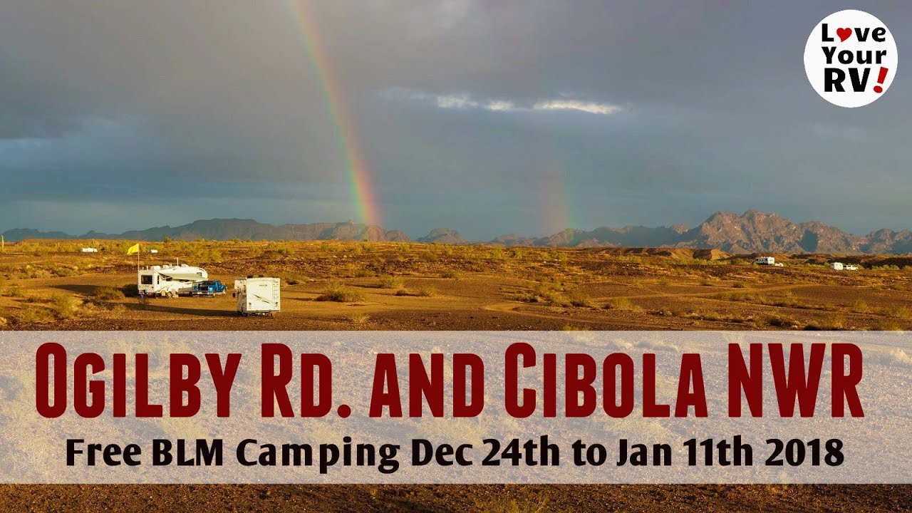 Ogilby and Cibola BLM Campsites and Birds Birds Birds!