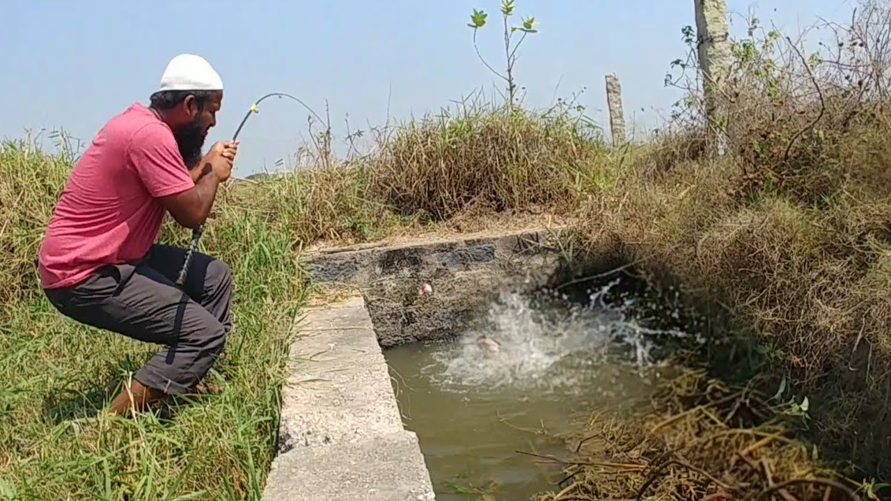 Awesome FISHING|Cat Fishing|Amazing Fishing|Village Fishing|Cat Fish Catching |Mancing FISHING