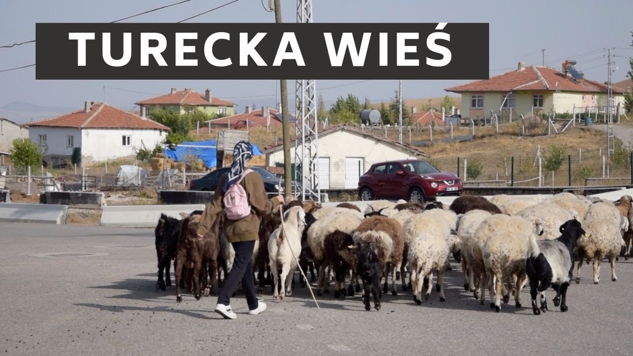 Jak wygląda wieś w środkowej Anatolii? | Gaba Demirdirek