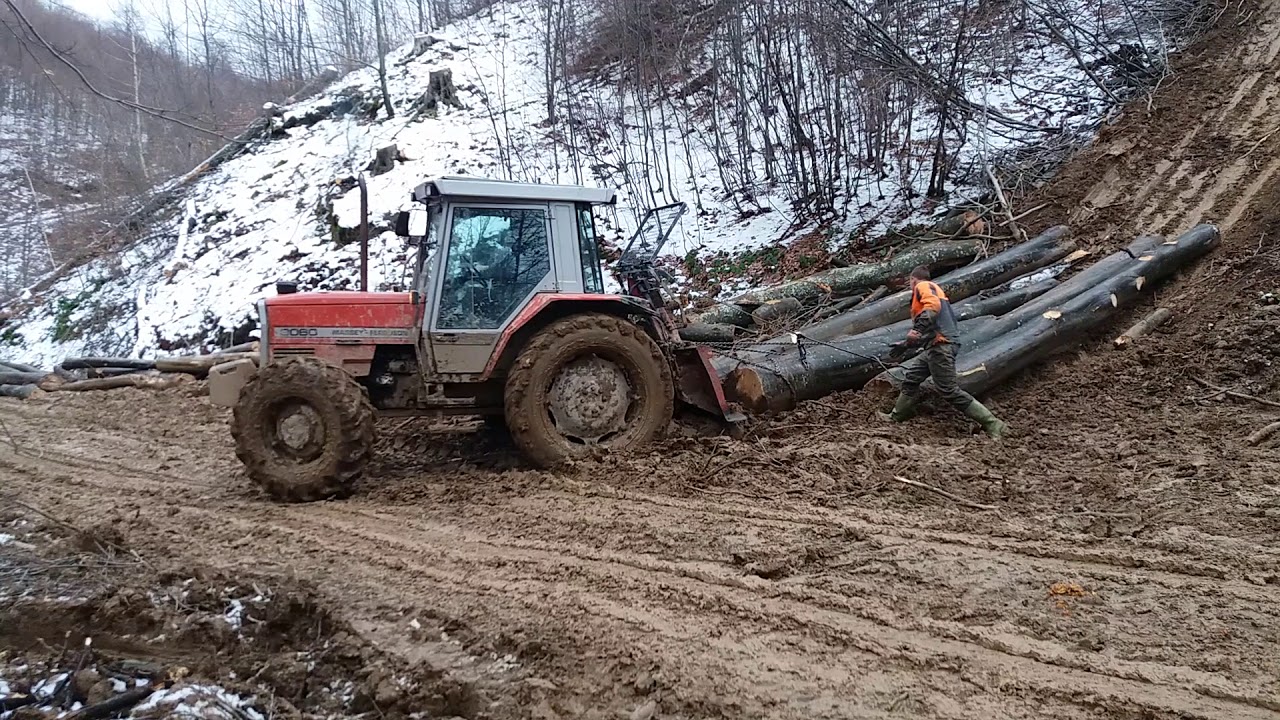Massey Ferguson 3060 pekar na Javorcu
