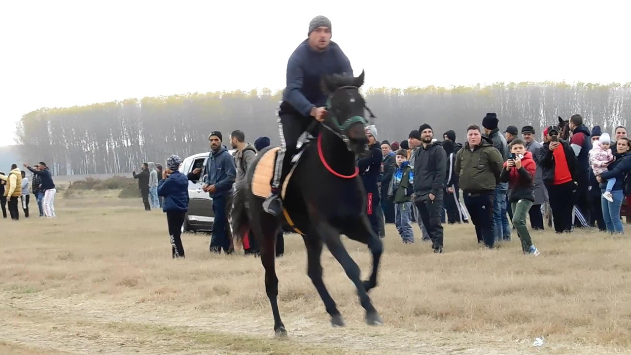 INTRECERE CAI LA FETESTI JUDETUL IALOMITA - CURSA 14 NOIEMBRIE 2021 FULL VIDEO