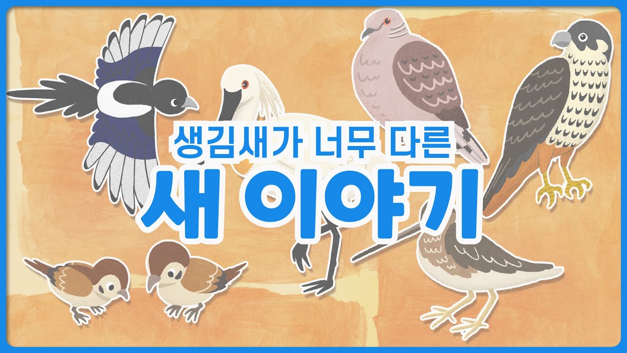 [생물다양성 교육] 생김새가 너무 다른 새 이야기