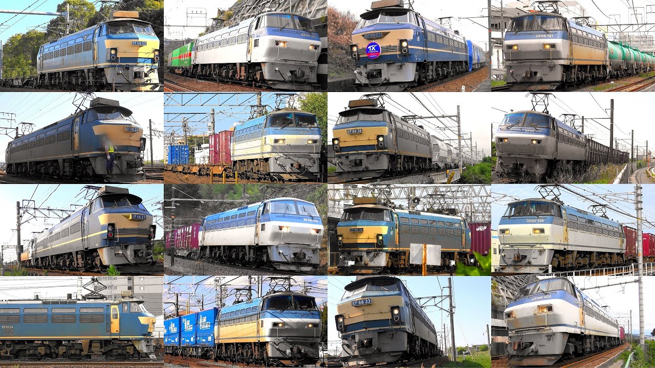 EF66の大迫力モーター音とジョイント音‼汽笛‼ JR貨物マンモスパワー直流機のEF66貨物列車いろいろいっぱい77本 JR貨物の大スターEF66 27ニーナもいろいろいっぱい‼