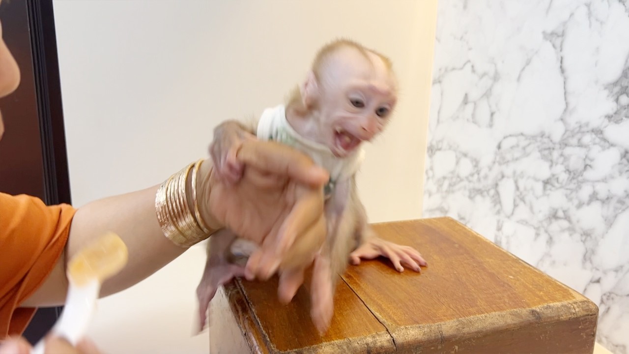 Stubborn Baby Tauch Deny To Sit On Table For Mom Easy Feeding