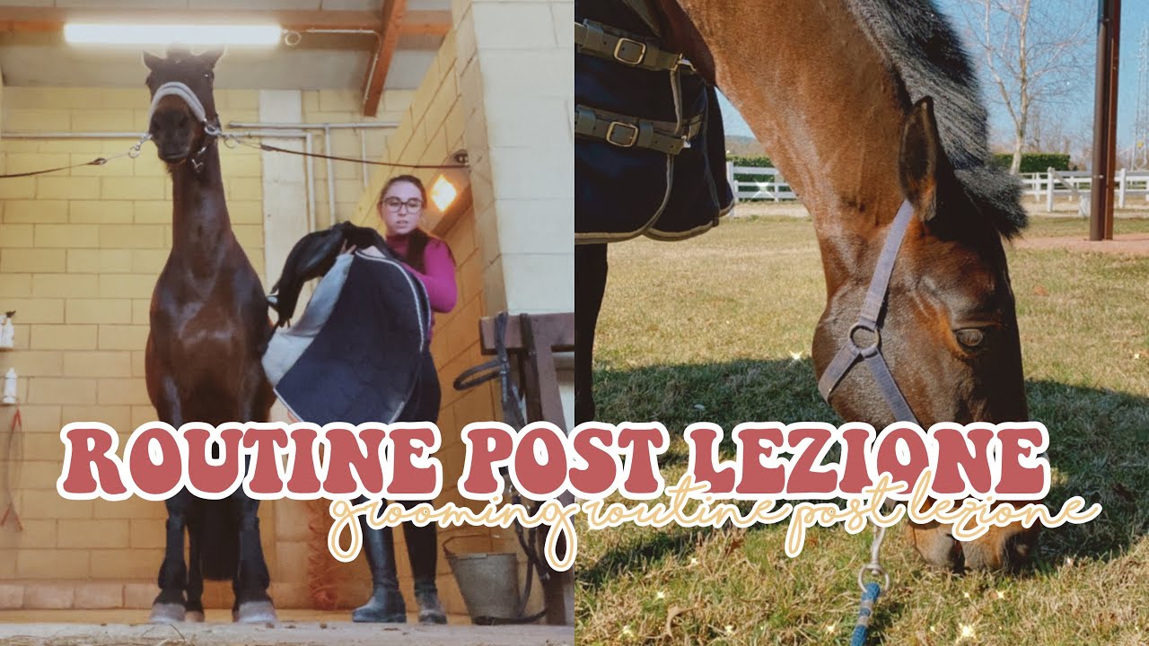 Routine post lezione in primavera🌸🐴