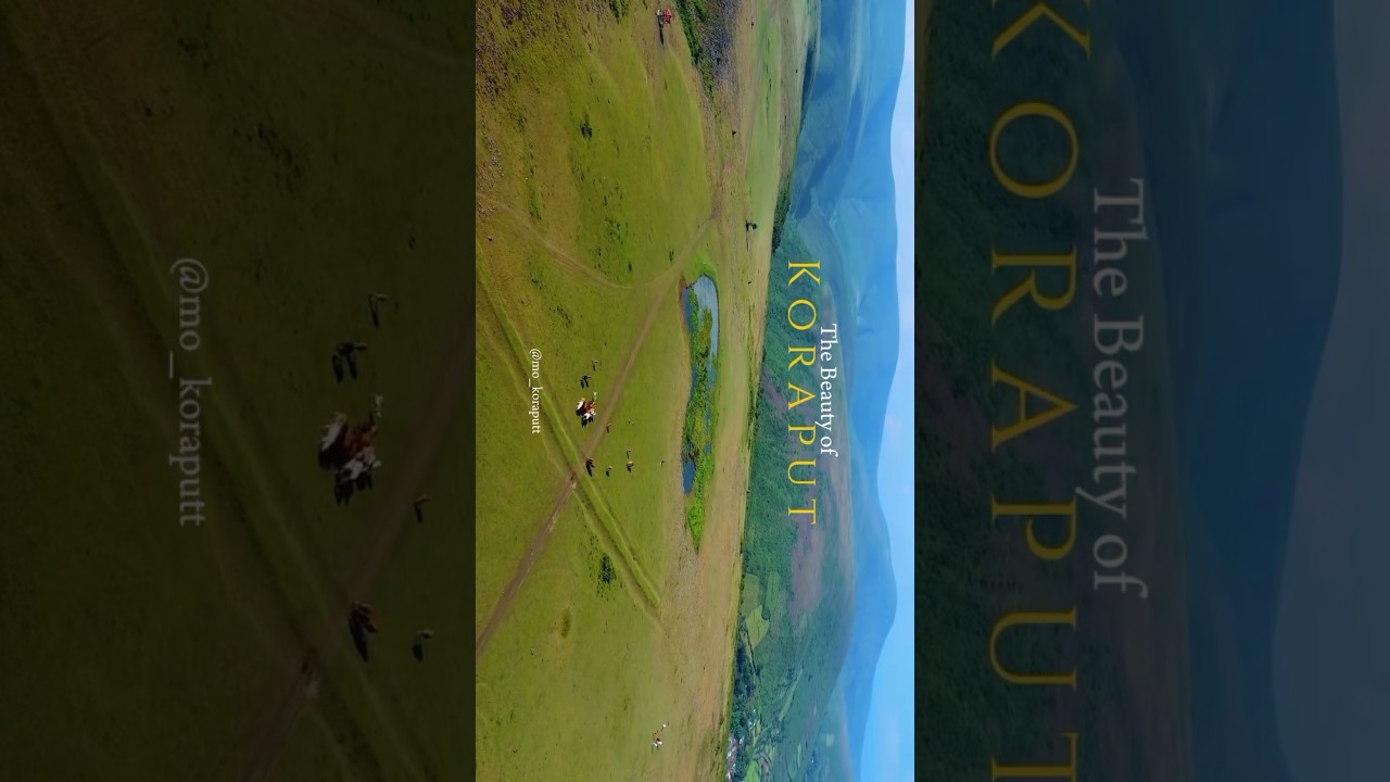 Koraput Tourist place# Beauty Of Koraput #koraputiavideos #beauty #shorts