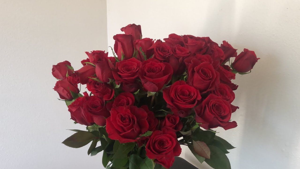 Tips para conservar flores frescas por muchos días #rosasfrescaspor4semanas #sigueestospasos
