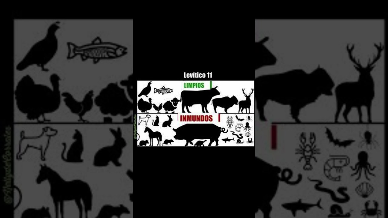 ALIMENTOS INMUNDOS Y LIMPIOS #antiguotestamento
