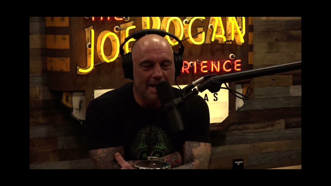 Joe Rogan makes bear noise