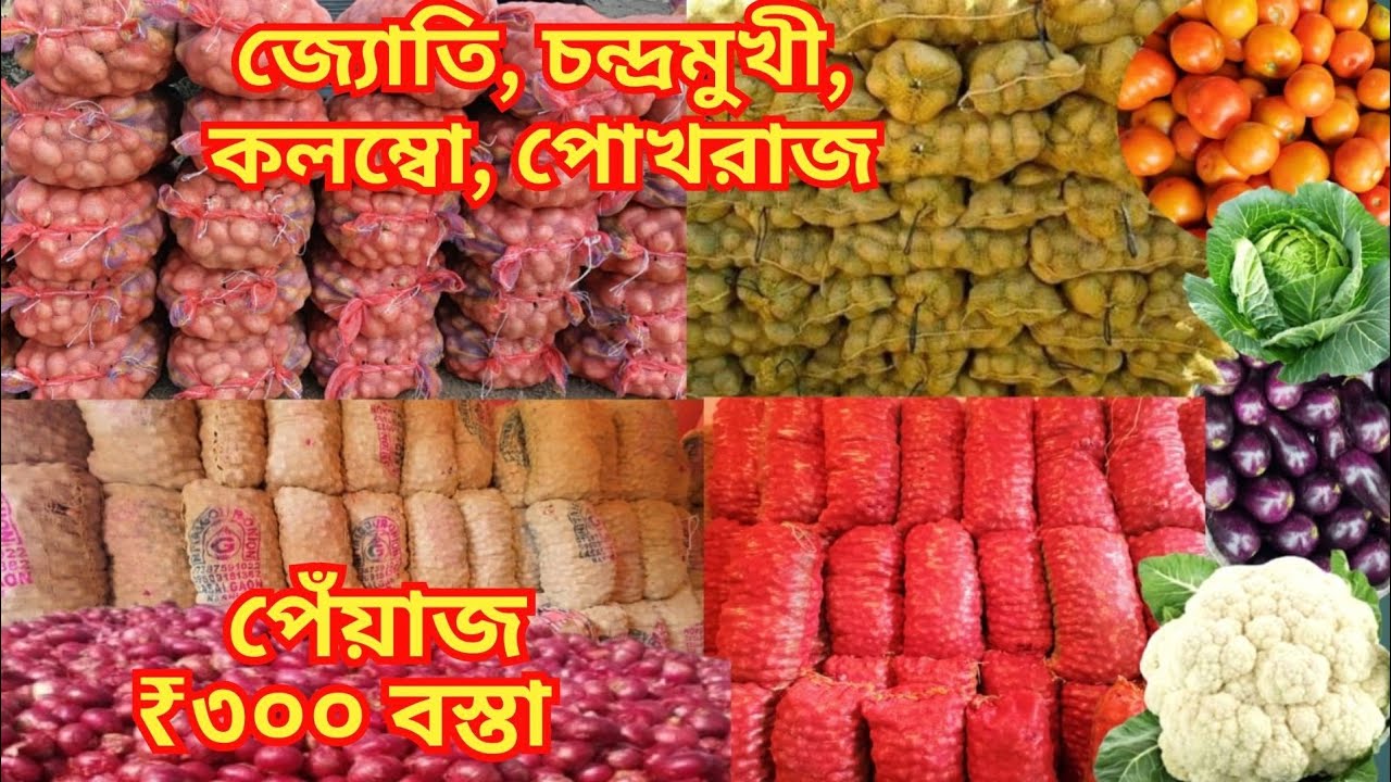 বৈদ্যবাটিতে সবজি আলু পেঁয়াজ রসুনের দাম/Baidyabati Super Market | Old and New Potato and Onion Price
