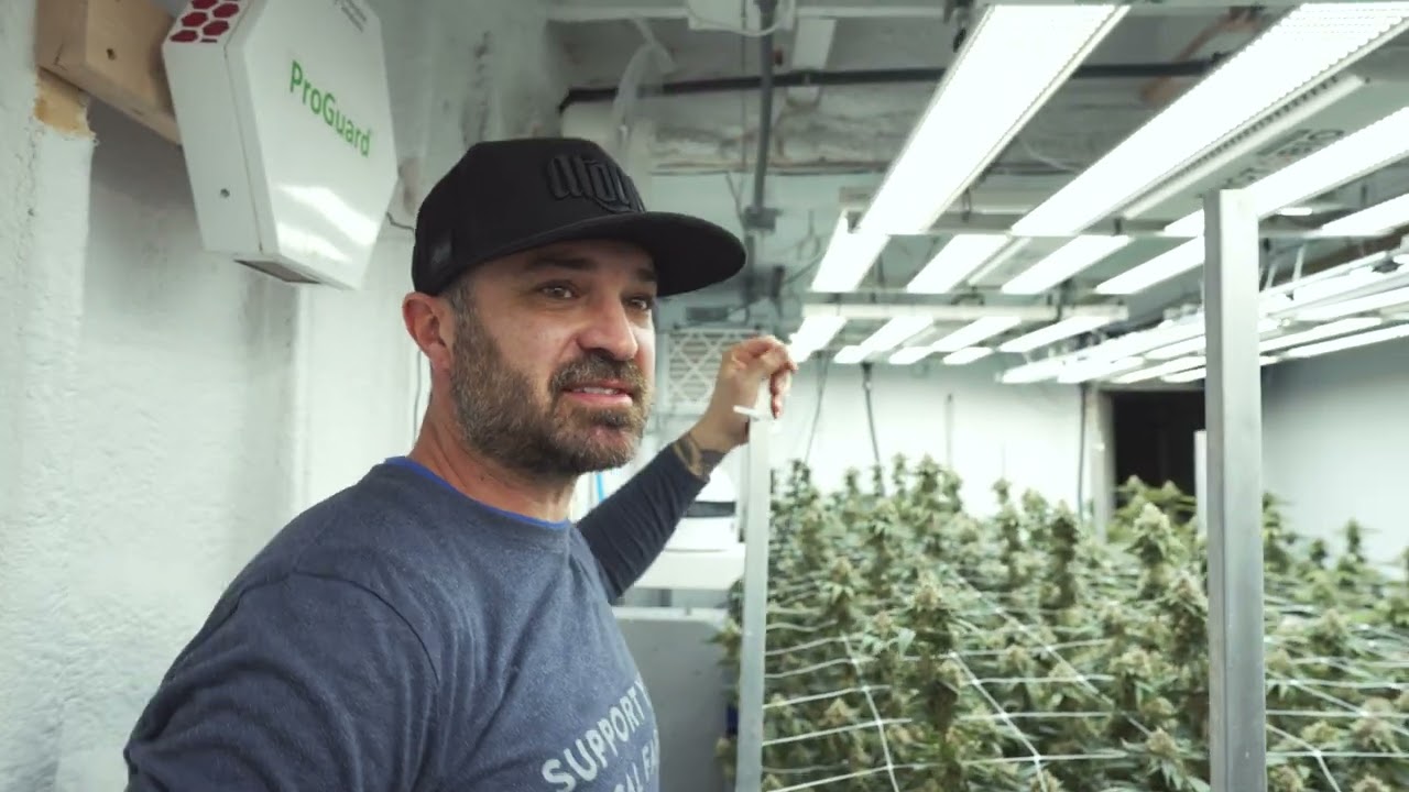 A DAY IN THE LIFE OF EASTCOAST GROWERS