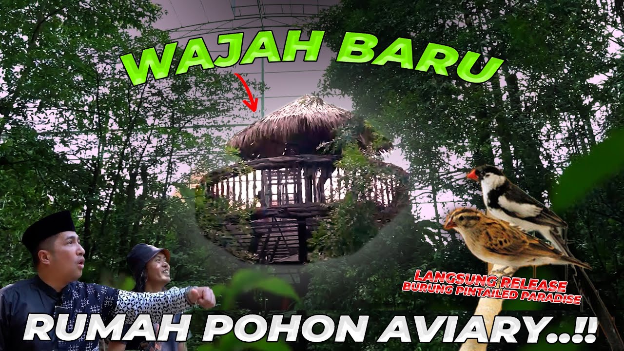 WAJAH BARU RUMAH POHON AVIARY! IDE CAK HERRY RASIO TERWUJUD!