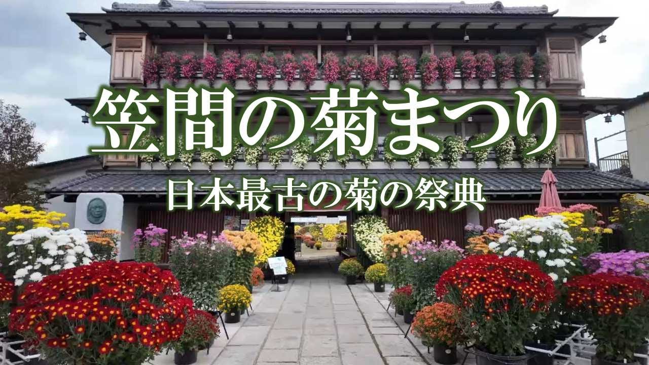 笠間の菊まつり　日本最古の菊の祭典／Kasama Chrysanthemum Festival, Japan's oldest chrysanthemum festival