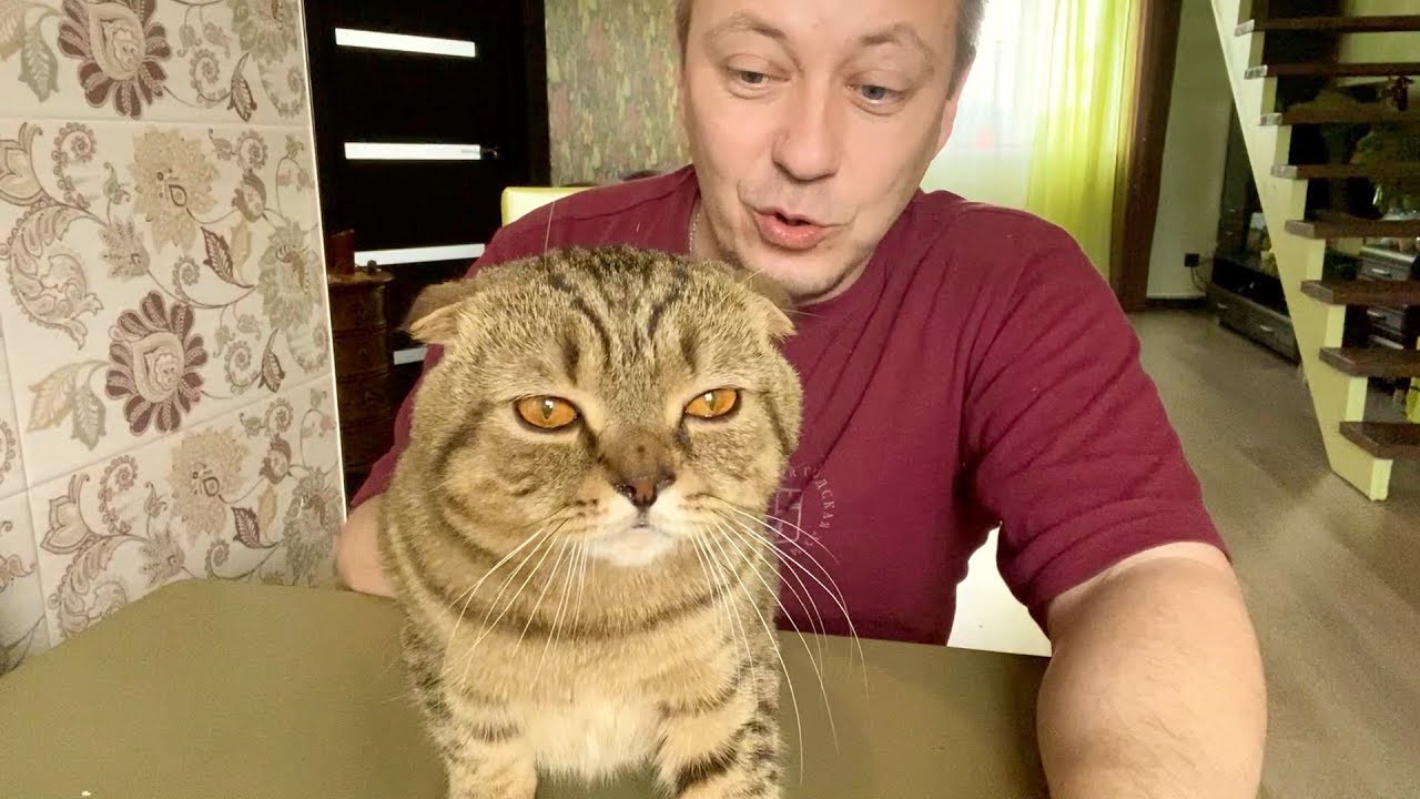 МИТЯ худеет ПАПУ - бесимся на пару!