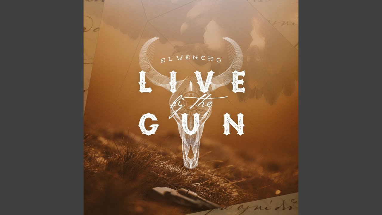 Live by the Gun
