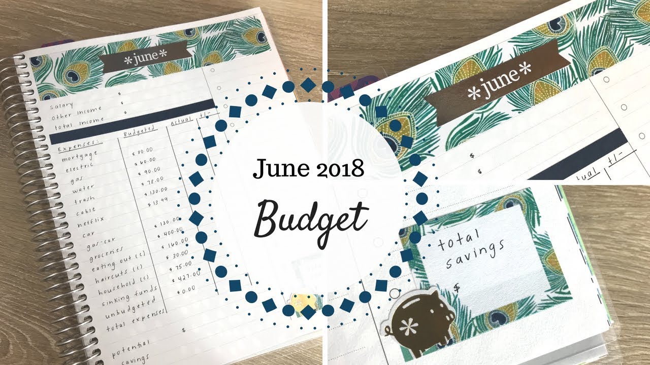 June 2018 Budget | Erin Condren Deluxe Monthly Planner |