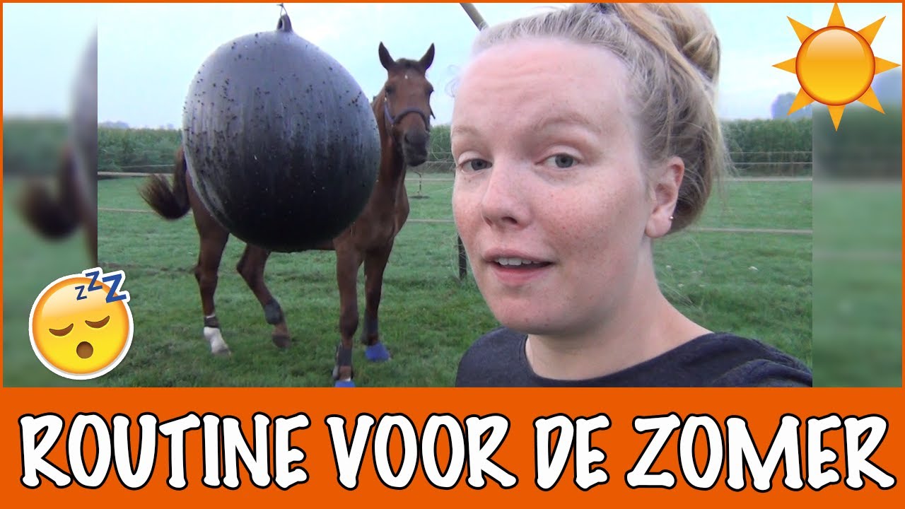 Een ochtendroutine met super heet weer!  | PaardenpraatTV