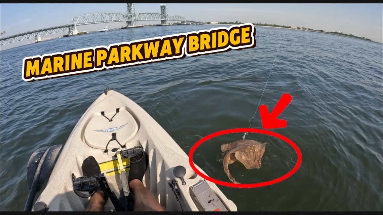 Porgy Hunt NYC 🎣 Kayak Fishing at Marine Parkway Bridge | Multi-Species Catch Adventure! *07.03.25*