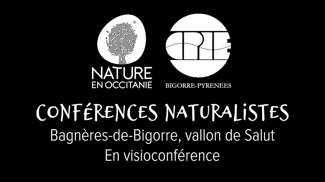 Faire de son jardin un oasis de biodiversité