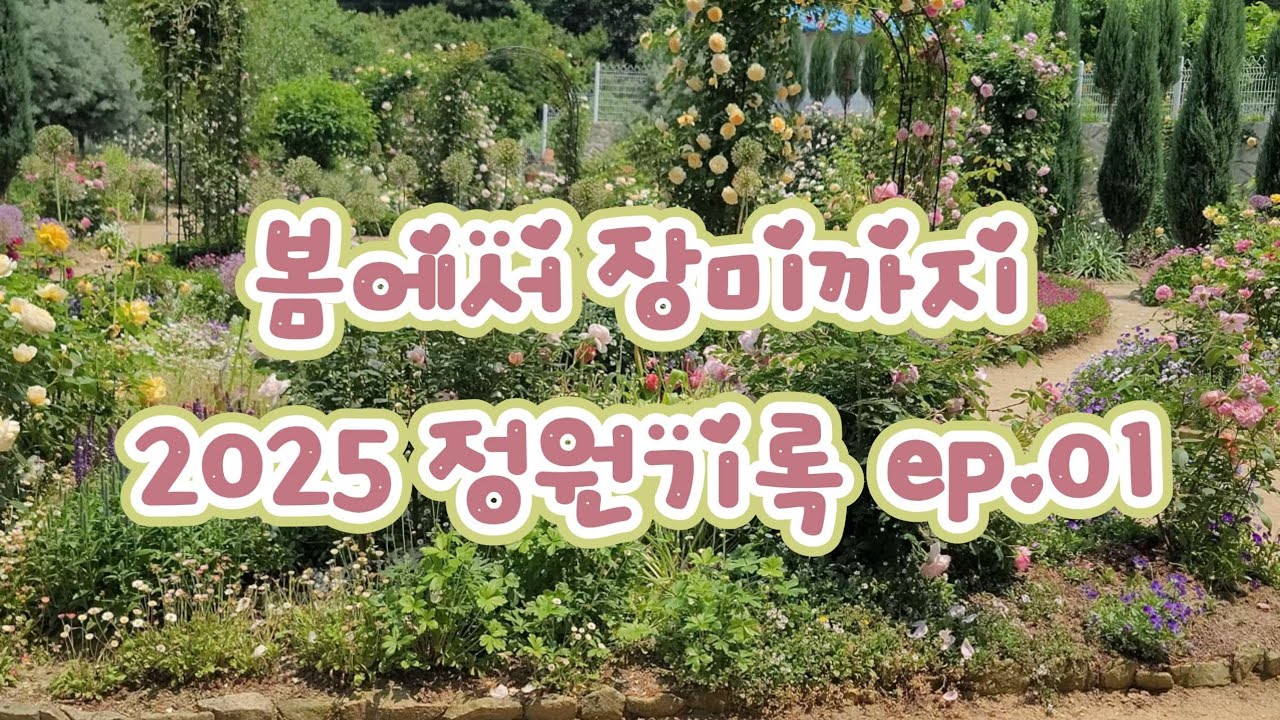 От весенних цветов до роз: Прекрасные моменты 2025 года. Эпизод 1.