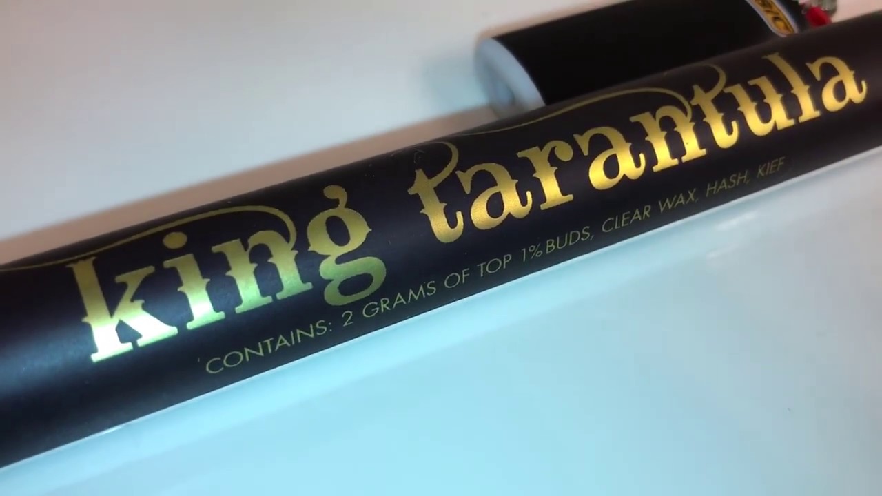 🕷GANJA GOLD X KING TARANTULA X SUPER GLUE // THC PREROLL XXL