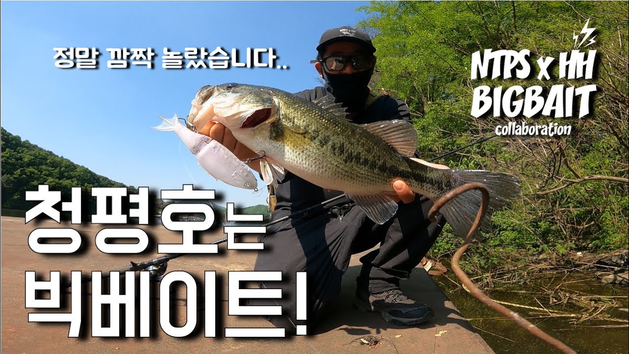 빅베이트 원태클로 청평호 짬낚!  (feat.박성완) #배스 #배스낚시 #피쉬맥스 #빅베이트