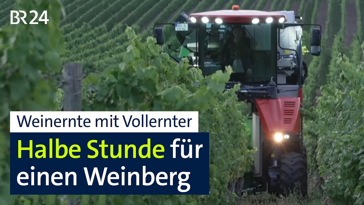 Mit dem Trauben-Vollernter bei der Weinlese | BR24